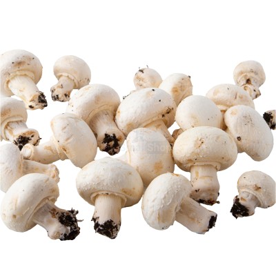 Шампиньоны свежие 500 г - купить 